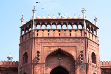Delhi, Hindistan, Mar 29 2019-Jama Masjid Mosque in Delhi, Hindistan