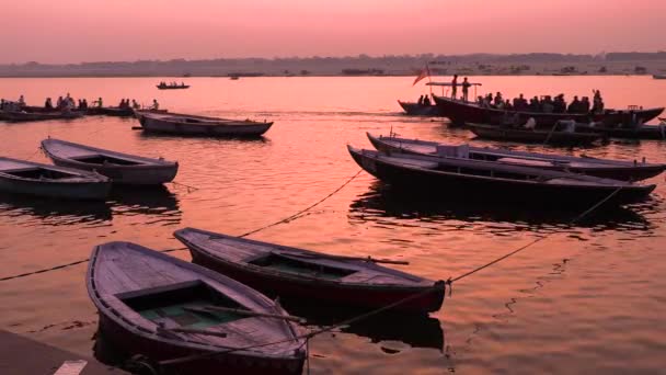 Indien, Varanasi, 14. März 2019 - Silhouetten von Booten und Unbekannten, die während des Sonnenaufgangs am Ufer des Ganga Gebete zur Sonne verrichten, 4k Filmvideo — Stockvideo