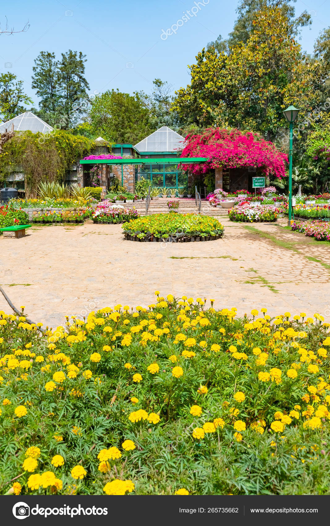 Beautuful Lodhi Garden With Flowers Greenhouse Tombs And Other