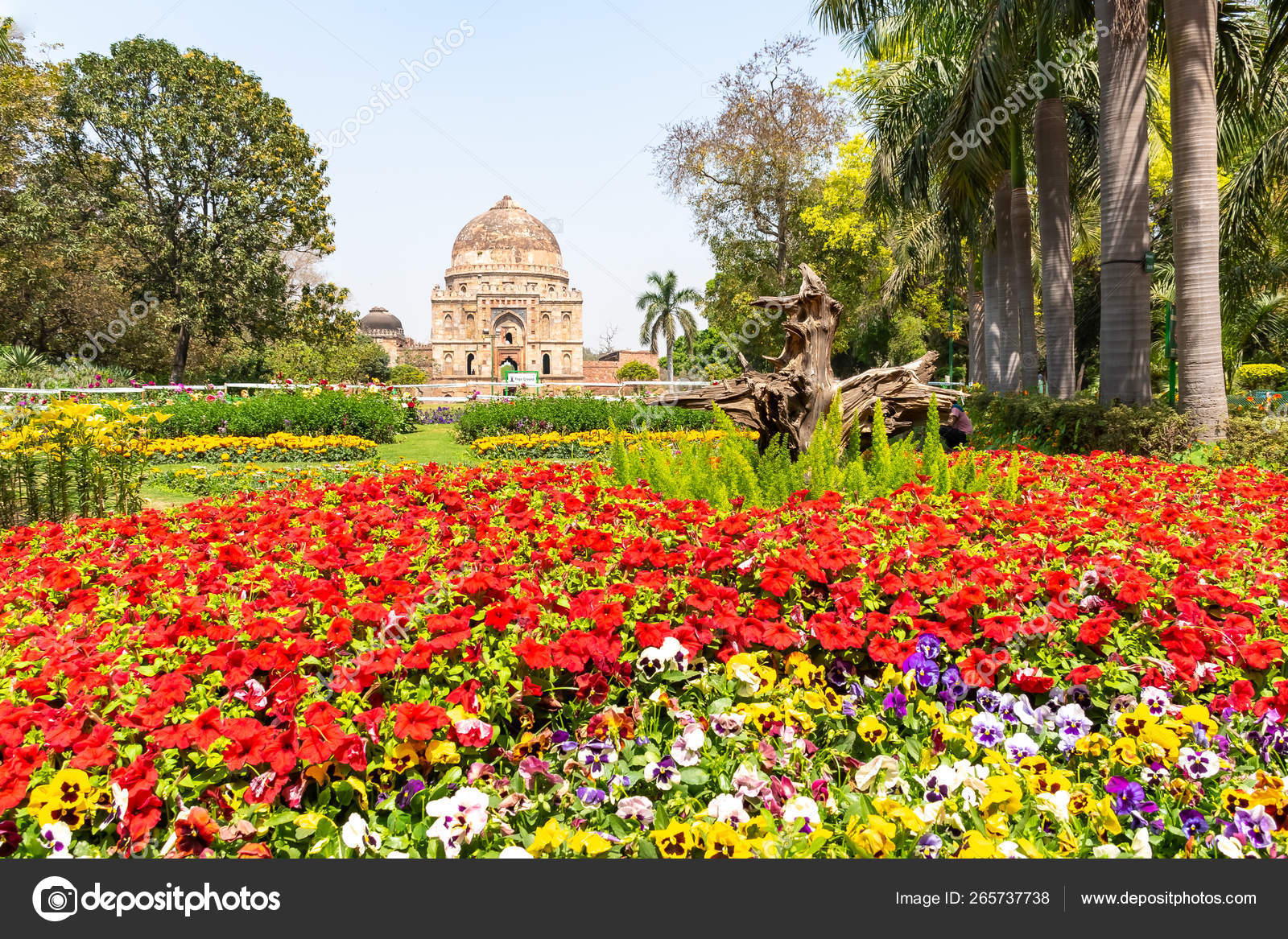 Beautuful Lodhi Garden With Flowers Greenhouse Tombs And Other