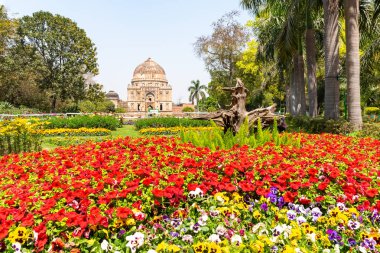 Çiçekler, sera, mezarlar ve diğer turistik yerleri ile Beautuful Lodhi Bahçe, Yeni Delhi, Hindistan