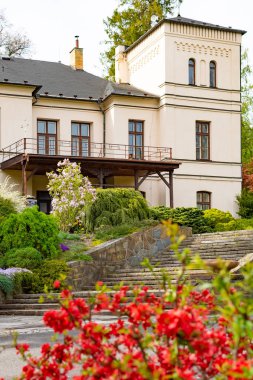 Opava, Novy Dvur, Czech Republic - 24 April 2019 - Botanical garden in spring, blooming flowers, nice walkway and huge trees