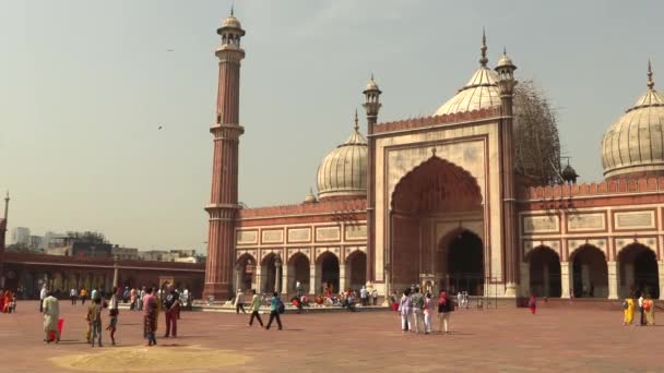 Delhi, indien, 30 mar 2019 - jama masjid moschee, delhi. die spektakuläre Architektur der großen Freitagsmoschee jama masjid, 4k Filmvideo — Stockvideo