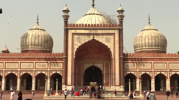 Delhi, indien, 30 mar 2019 - jama masjid moschee, delhi. die spektakuläre Architektur der großen Freitagsmoschee jama masjid, 4k Filmvideo — Stockvideo