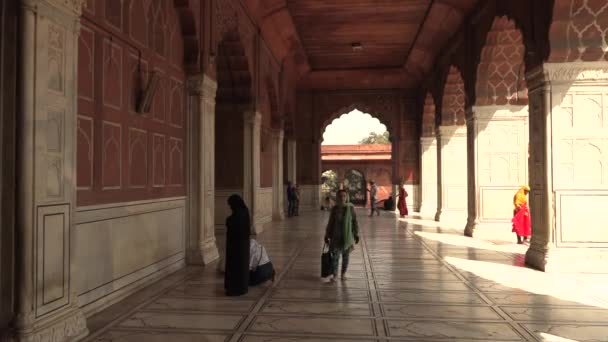 Делі, Індія, 30 березня 2019-Джама Масджид мечеть, Делі. Вражаюча архітектура великої п'ятниці мечеть Джама Масджид, 4K кадри відео — стокове відео