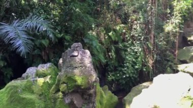 Ubud yakınlarındaki Goa Gajah Elephant Cave Temple yeşil bahçede görünüm, Bali, Endonezya, 4k görüntüleri video
