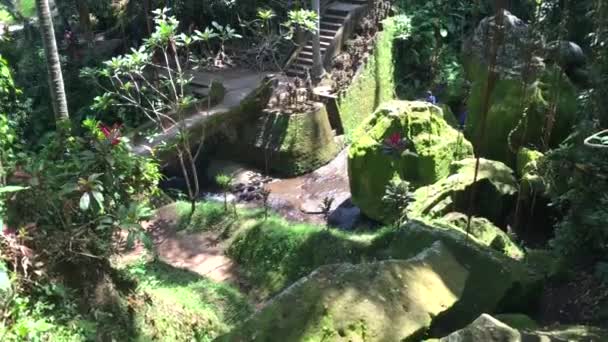 Pohled na zelenou zahradu u sloního jeskynního chrámu Goa ' ajah nedaleko Ubud, Bali, Indonésie, 4k záběr video — Stock video