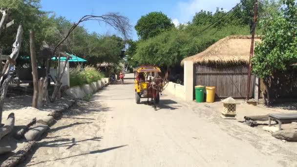 Indonesia, Bali, Gili 25 DIC 2019 - Viaje turístico un transporte tradicional de Lombok conocido como Cidomo en Gili Trawangan, video de 4k — Vídeo de stock