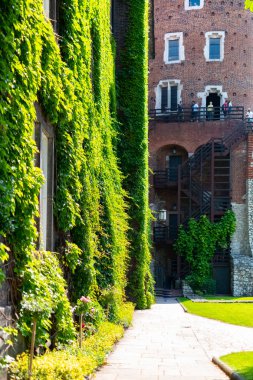 Wawel Kalesi yakınlarındaki Krakow de Üzüm pencereleri ile Bahçe ve Ev, Polonya