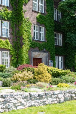 Krakow, Polonya Wawel Kalesi Güzel Bahçe