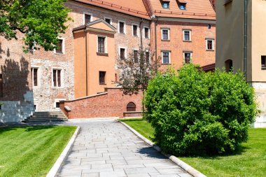 St Stanislaw katedrali ve St Vaclav ve Wawel Hill, Krakow, Polonya güneşli öğleden sonra üzerinde kraliyet kalesi