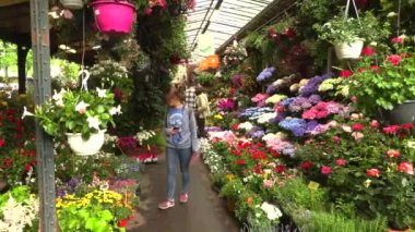 Paris, Fransa, 20 Mayıs 2019-Paris 'te çiçek pazarı, Notre-Dame Katedrali ve Sainte-Chapelle Şapel arasında, Ile de la Cite üzerinde bulunan, 4k video videosu