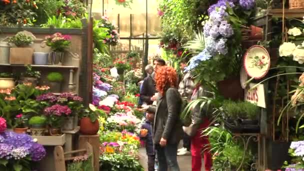 Paris, França, 20 de maio de 2019 - O mercado de flores em Paris, localizado na Ilha de la Cite, entre a Catedral de Notre-Dame e a capela de Sainte-Chapelle, vídeo em 4k — Vídeo de Stock