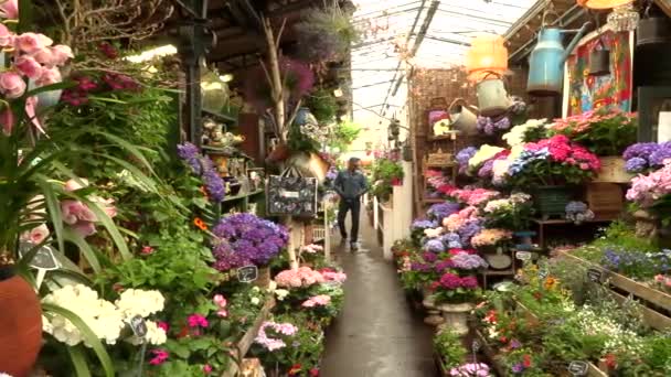 París, Francia, 20 de mayo de 2019 - El mercado de flores en París situado en la Ile de la Cite, entre la Catedral de Notre-Dame y la capilla de Sainte-Chapelle, 4k metraje video — Vídeo de stock