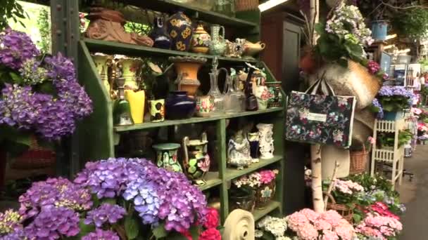 París, Francia, 20 de mayo de 2019 - El mercado de flores en París situado en la Ile de la Cite, entre la Catedral de Notre-Dame y la capilla de Sainte-Chapelle, 4k metraje video — Vídeo de stock