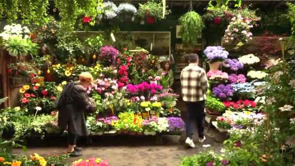 París, Francia, 20 de mayo de 2019 - El mercado de flores en París situado en la Ile de la Cite, entre la Catedral de Notre-Dame y la capilla de Sainte-Chapelle, 4k metraje video — Vídeo de stock