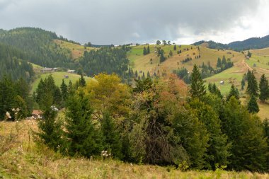 Romanya 'nın Bucovina köyü, güzel manzara dağ çayırları, gün doğumu.