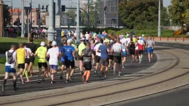 Kör maratonlöpare — Stockvideo