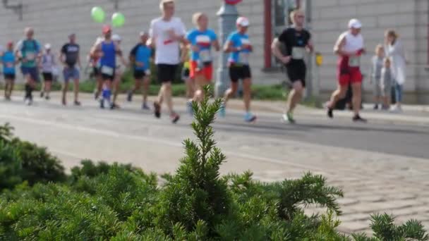 Foule d'athlètes qui courent au marathon en arrière-plan — Video