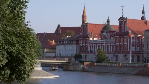 Městské turistické lodi na řece — Stock video