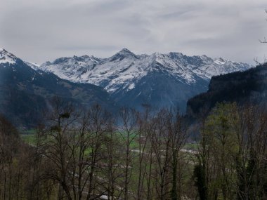 Kar Alpleri yeşil çim ile Güzel İsviçre Manzaralar