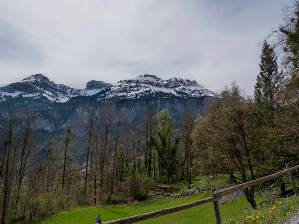 Kar Alpleri yeşil çim ile Güzel İsviçre Manzaralar