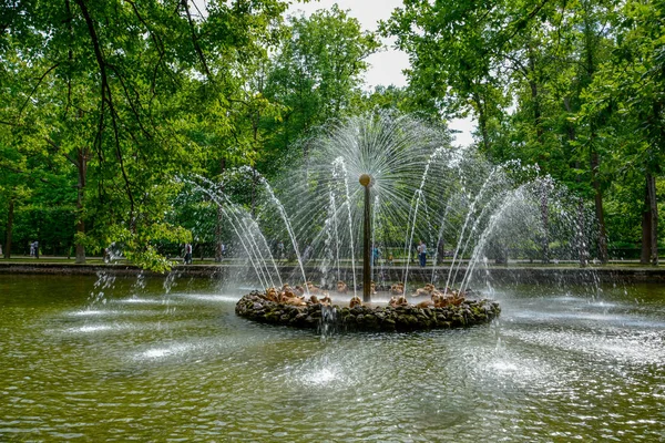 Rusya Peterhof Sarayı St.Petersburg yaz saati