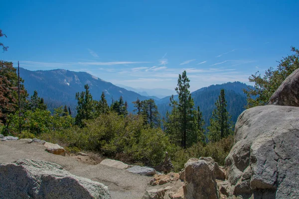 Lanscape Sequoia árboles verano tiempo azul cielo — Foto de Stock