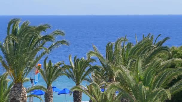 Beautiful tropical mediterian coastline with palm trees and clear blue water slow motion wind — Stock Video