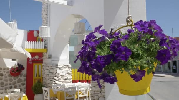 Traditioneller mediterraner Blumenschmuck auf der Straße — Stockvideo