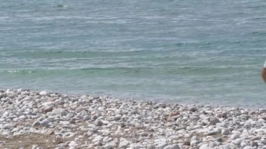 Beyaz kum taşlı plajda berrak Akdeniz'e yakın yürüyen şortçift erkekler
