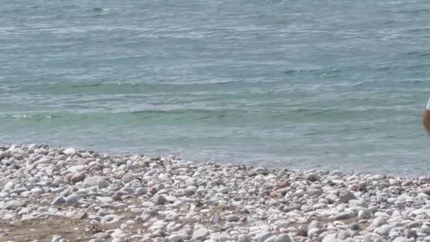 Пара чоловіків у шортах, що йдуть поруч з чистим середземноморським морем на пляжі з білим піском — стокове відео