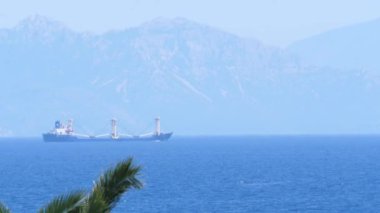 Palmiye ağaçlarının manzarası Yunanistan'dan Türkiye sahil manzarasına yakın yelken li gemi