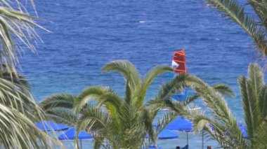 Rüzgarlı palmiye ağaçları ve berrak mavi su Avrupa ile güzel Akdeniz kıyı şeridi