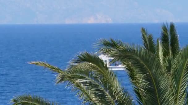 Blick durch Palmen Schiff segelt in der Nähe der türkischen Küste Blick aus Griechenland — Stockvideo