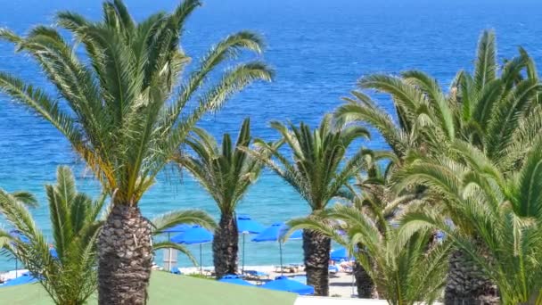 Beautiful Mediterranean coastline with windy palm trees and clear blue water Europe — Stock Video