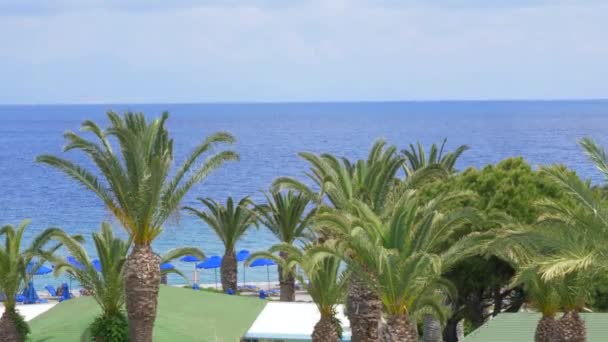 Hermosa costa mediterránea con palmeras ventosas y agua azul clara Europa — Vídeos de Stock