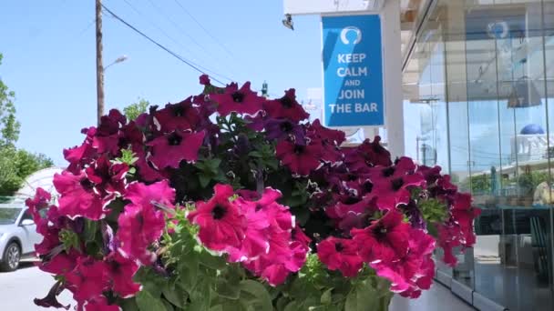 传统的地中海花卉装饰在街头的家 — 图库视频影像