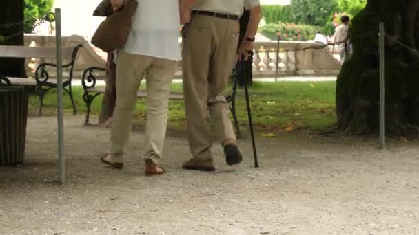 Copule Seniours caminando lentamente con bastón en el hermoso parque de Salzburgo — Vídeo de stock