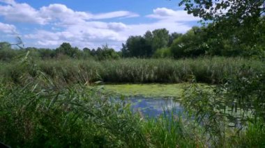 Berrak göl nehri üzerinde otlak ve orman ile yeşil tepeler mavi gökyüzü üzerinde bulutlar haddeleme. Turizm ve ekoloji kavramı