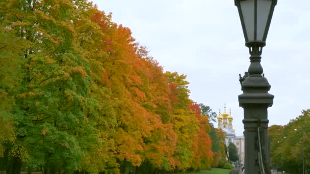 Gyönyörű őszi színek fák folyó felhős nappal — Stock videók