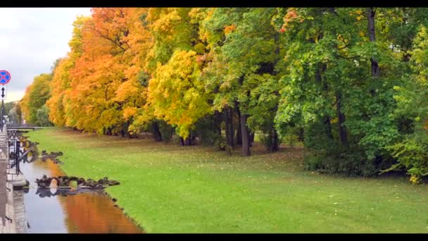 Hermosos colores otoñales en día nublado cerca de un pequeño río — Vídeos de Stock