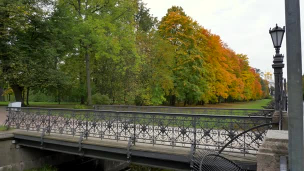 Schöne Herbstfarben grün gelb orange bei trübem Tag und Brücke — Stockvideo
