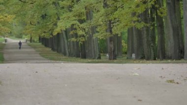 Süslü bahçeli eğlence parkı, peyzaj tasarımı. Dinlenmek ve dinlenmek için bir sonbahar.