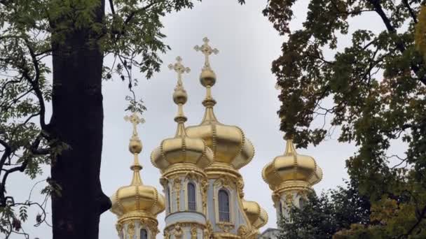 Otoño Parque en Tsarskoe Selo Catherine palacio en Pushkin, Rusia septiembre 2019 — Vídeos de Stock