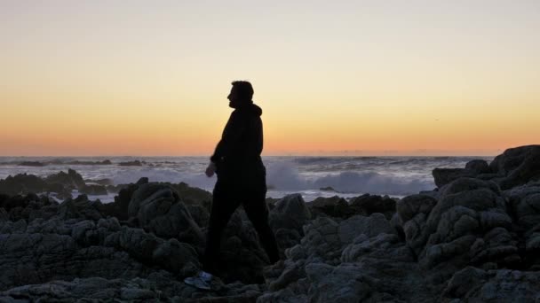 Mannen oefenen op de rotsachtige stenen horizon bij zonsondergang of zonsopgang. Kunst van zelfverdediging. Silhouet op een achtergrond van dramatische epische golven aan de Stille Oceaan — Stockvideo