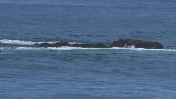 Ondas batendo ao longo da costa no norte da Califórnia na área de Big Sur Monterey durante a maré — Vídeo de Stock