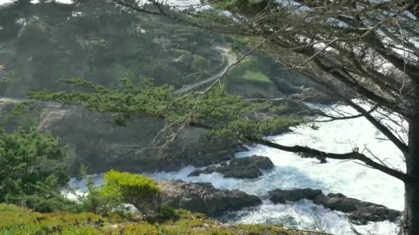 Majestätische Wellen an der Küste von Big Sur krachen auf die Klippen am kalifornischen Highway 1 — Stockvideo