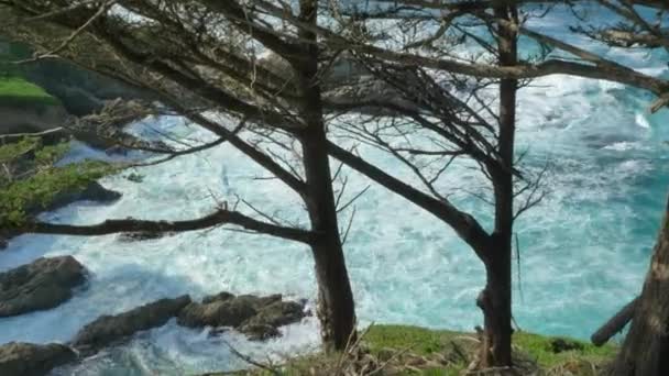 Majestic Big Sur fale wybrzeża rozbijają się na skałach urwiska na autostradzie Kalifornii 1 malowniczy dysk — Wideo stockowe