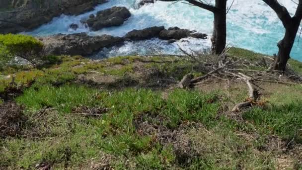 Majestueuses vagues côtières de Big Sur s'écrasant sur les rochers de la falaise à California Highway 1 route panoramique — Video